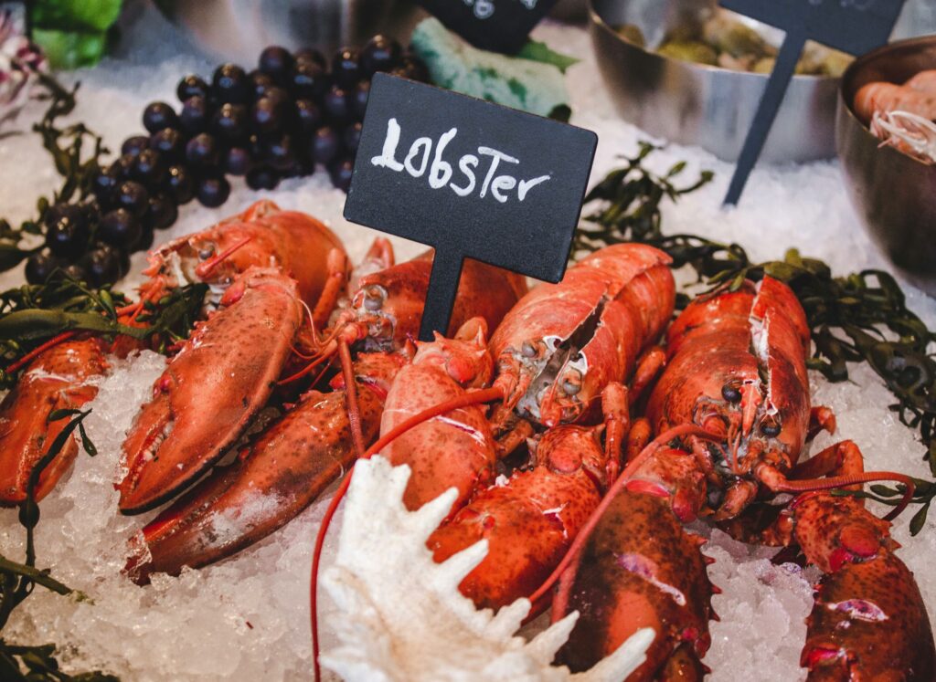 lobster stock image