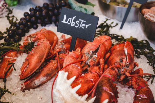 lobster stock image